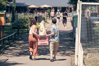 Evelien en Krijn dragen samen hun gedecoorde bruidstaart over het terras op De Schaapskooi in Delft - Trouwshoot Stefan Seger